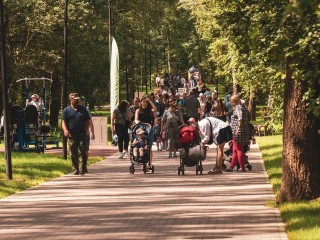 Стало известно, что ждет жителей Бронниц 28 сентября в парке «Бронницкий луг»