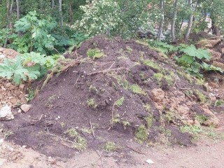 Суд обязал жителя Талдома выплатить штраф за свалку