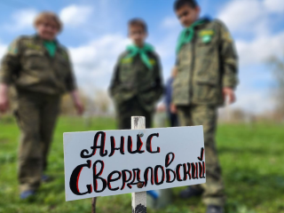 В Можайске назвали лучшие мини-питомники округа