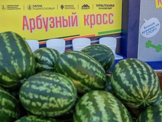 Бег, медали и арбузы: традиционный спортивный праздник пройдет в Одинцове