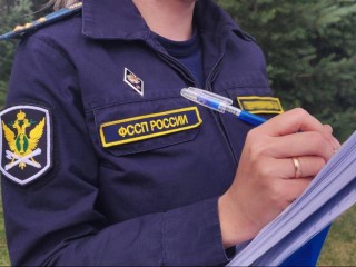 Самые резонансные случаи взыскания долгов судебными приставами