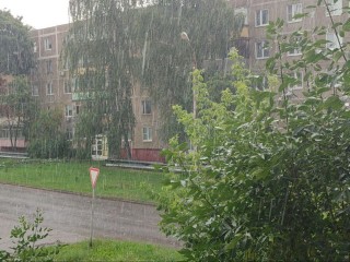 Верните себе радость жизни: как победить осеннюю апатию за четыре простых шага