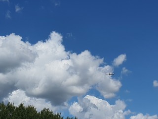 Названа причина гибели парашютиста в Подмосковье