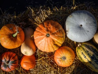 «Янтарное блаженство»: как приготовить вкусные и полезные «манговые» цукаты из тыквы