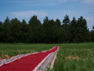 Погружение в природу и искусство: завершается паблик-арт фестиваль «Заповедное»