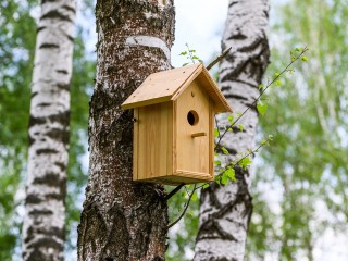 Скворечник осенью защитит сад от вредителей и станет домом для птиц