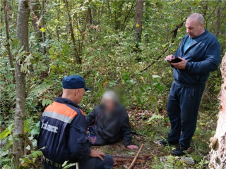 Спасатели нашли заблудившуюся в лесу Коломны пенсионерку