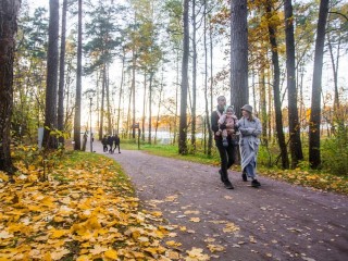 Минувшая ночь в Подмосковье стала самой холодной с начала месяца