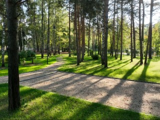 В Малаховке «Летний парк» разделят на лесную и парадную зоны