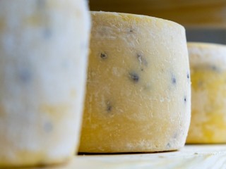 Сыроварня из Орехово-Зуева привезла сыр с голубой плесенью на выставку WorldFood Moscow
