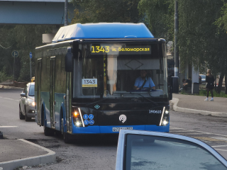 Московские автобусы начали обслуживать пассажиров города