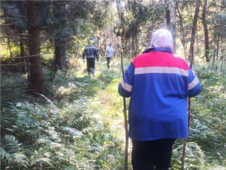 Спасатели нашли в лесу Дмитровского округа двух заблудившихся пенсионерок