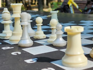 В парке имени Гагарина 6 сентября состоится шахматный турнир