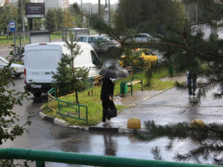 Синоптик Тишковец: жителей Подмосковья ждут ливни в выходные и заморозки на неделе