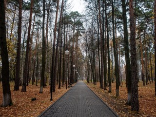 От бабьего лета к заморозкам: в сентябре Подмосковье ждут погодные контрасты