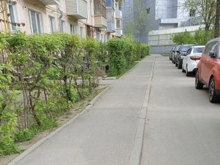 Чистота и порядок: как в Подмосковье следят за состоянием общественных территорий