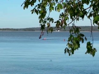 Моржи устроили заплыв в холодной воде озера Сенеж
