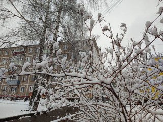 Первый снег в Подмосковье будет мокрым и недолгим — прогноз синоптика