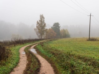 Ночные и утренние туманы пришли в Подмосковье на всю неделю