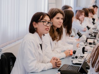 Уроки о сохранении леса предложили включить в «Разговоры о важном»