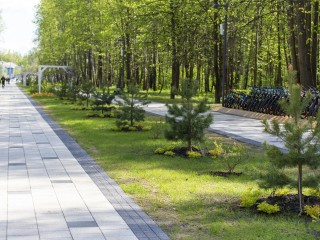 В парке «Авангард» проведут забеги и мастер-классы