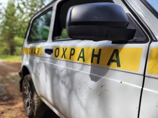 Лесники сто раз проверили зеленые зоны округа