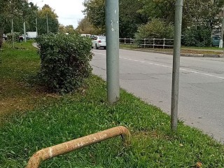 Мешающие обзору кусты обрезали возле пешеходного перехода на улице Толмачева