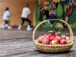 На хоккей и концерт с чаепитием приглашает афиша Красногорска 28 сентября