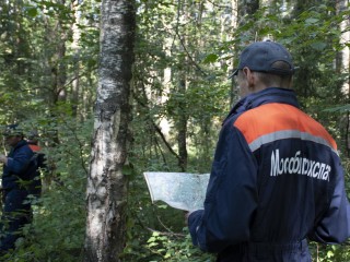 В Орехово-Зуеве спасатели нашли двух потерявшихся в лесу грибников