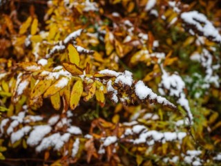 Ниже падать некуда: температура в Подмосковье упадет до рекордных для сентября 10 градусов