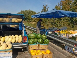 В Мытищах оштрафовали торговцев овощами и фруктами из багажников автомобилей
