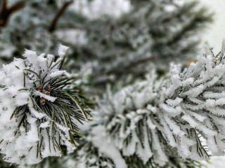 Арктический холод врывается в Подмосковье: первый снег выпадет в этот день