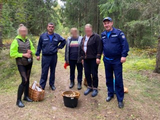 Спасатели разыскали трех женщин, заблудившихся в лесу в Орехово-Зуевском округе