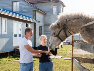 Дом для всех: как многодетная семья уживается под одной крышей с животными-терапевтами