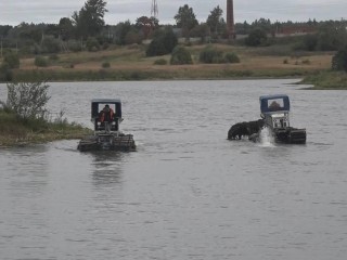 Завершена очистка запруды реки Маглуша вблизи Брыкова в Истре