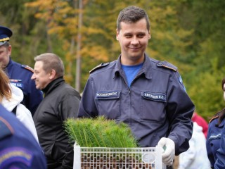 Спасатели Подмосковья посадили 36 га леса