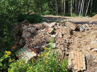 Суд взыскал с компании из Амурской области ₽570 тыс. за свалку в Подмосковье