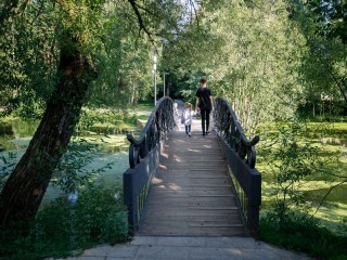 Антициклон принесет в Московский регион аномально теплую погоду