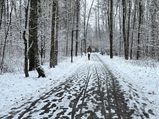 В Гидрометцентре назвали дату резкого падения температуры в Подмосковье