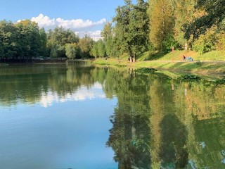 По просьбе жителей экологи провели пробы воды в Верхнем пруду Дзержинского