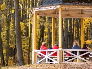 Спектакли, выставки и спорт: как провести выходные культурно и активно в Красногорске