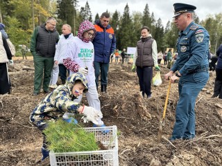 Сотрудники МЧС высадили ели и сосны в Пушкинском округе