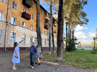 Санитарную обрезку деревьев провели по просьбам жителей в Калининце