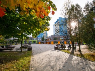 Самый жаркий день осени 2025 года в Подмосковье ожидается 22 сентября