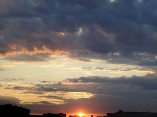 Жителей Подмосковья ждет аномально холодная для сентября ночь