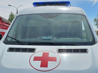 У Белоомута сбили лошадь, водителю машины понадобилась помощь врачей