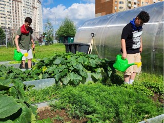 Современное аграрное образование получат клинчане на практике