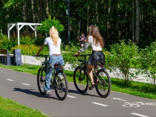 В Подмосковье ожидается последняя волна жары до +27°C