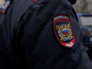 В Голицыне задержали подозреваемую в краже мобильного телефона
