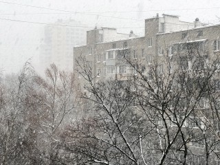 Волна холода заставила включить отопление раньше времени: где и когда